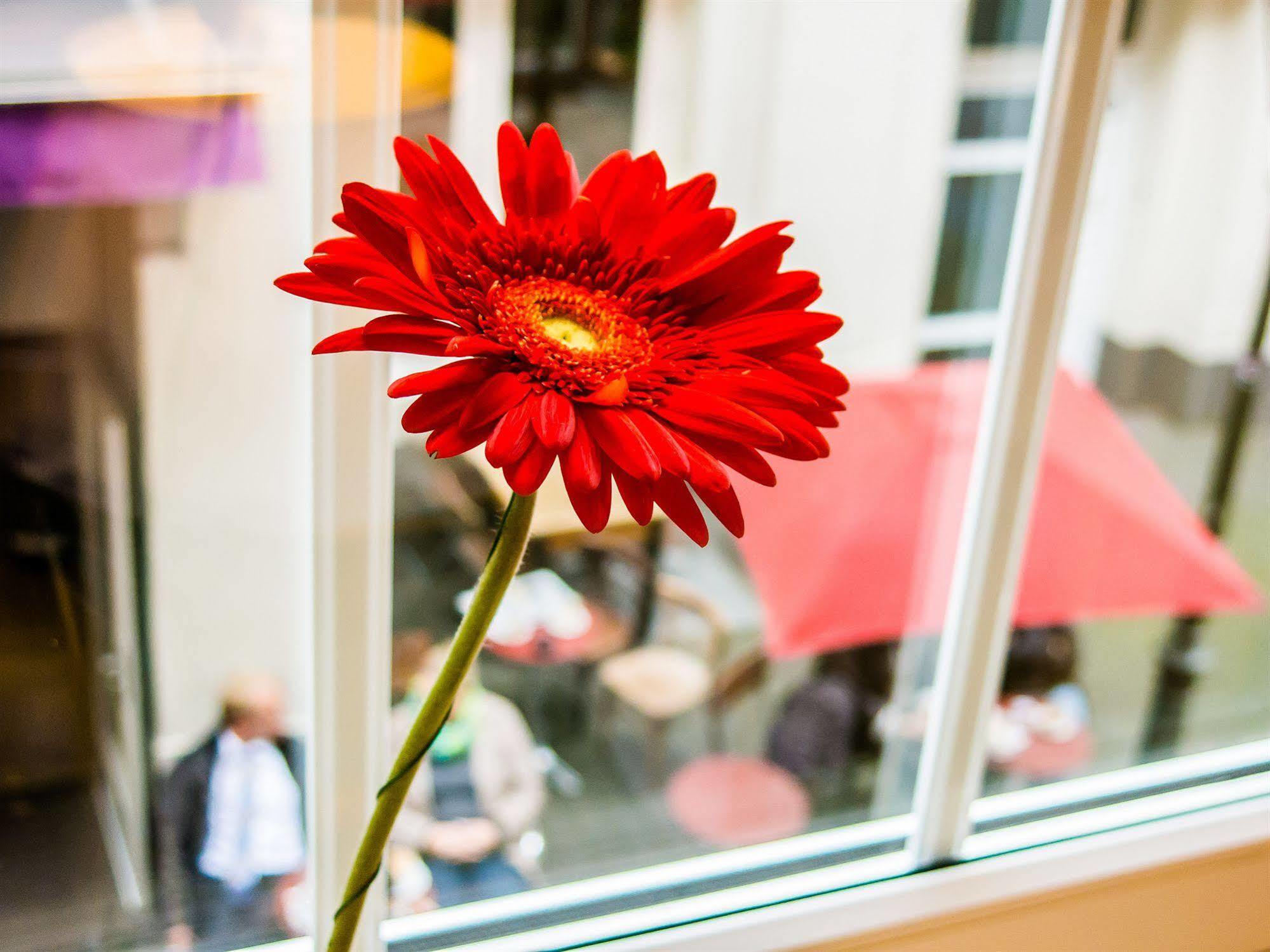 The Soho Altstadt Hotel デュッセルドルフ エクステリア 写真